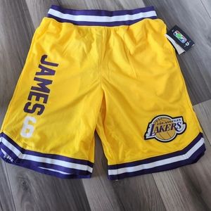 NBA Lebron James Los Angeles Lakers Basketball purple Shorts Men’s Medium